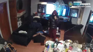 Caught on Camera: Armed Home Invasion, Family Gets Tied Up