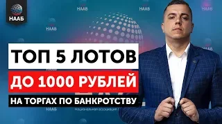 Топ 5 лотов до 1000 рублей на торгах по банкротству