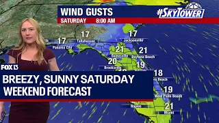 Tampa weather: Breezy, Sunny Saturday