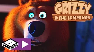 Grizzly i lemingi | Hipnoza | Cartoonito