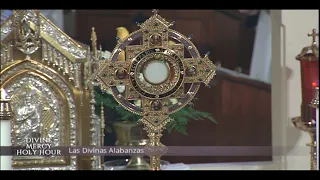 Divine Mercy Holy Hour on EWTN