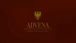 Advena - nasze usługi