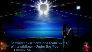 Whitewildbear - Under the Moon(J.J.& PPYM Remix 2023)