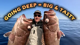 FISHING THE DEEP for tasty treats | Bar Cod, Snapper, Pearl Perch, Kingfish | Deep Dropping