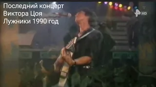 Последний концерт группы Кино Лужники 1990 год улучшенная версия HD video