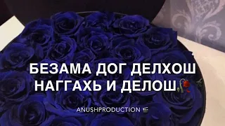 Зара Хайдарова-Дахаран туьйра🥀