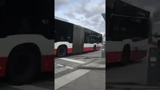 Linie 143(Citaro) nach Eißendorf Strucksbarg in Hamburg