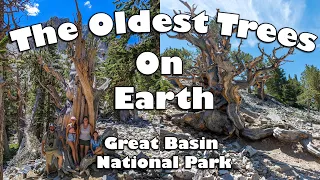 Ep. 05 - Great Basin National Park [Basins, Volcanoes, and Big Trees RV Trip]
