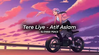 Tere Liye - Atif Aslam (Perfect Slowed) | Reverb (Bonus)