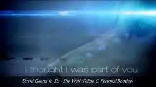 David Guetta ft. Sia - She Wolf (Felipe C. Personal Bootleg)