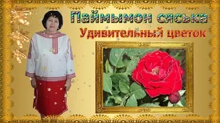 Удивительные цветы (Паймымон сяськаосы)