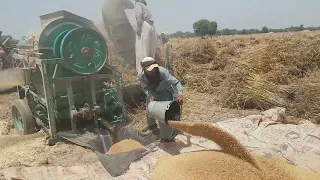 Wheat threshing in punjab| wheat season | 2023
