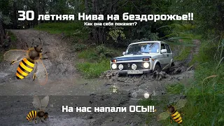 ЗАСАДИЛИ ВАЗ 2121 Нива на бездорожье!? ВАЗ 2121 НИВА  1988 года ПО ГРЯЗИ