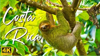 Beautiful Costa Rica 4K • Peaceful Relaxation Film with Calming Music