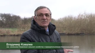 В Новооскольском районе зарыбили пруды для любительской ловли