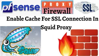 Chapter-21 : Intercepting HTTPS Traffic Using the Squid Proxy Service in pfSense| How To Cache HTTPS