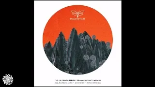 Out of Orbit & Perfect Stranger - Space Jahnun (Perfect Stranger Wild Ride Mix)
