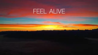 THE VANDERSONS - FEEL ALIVE