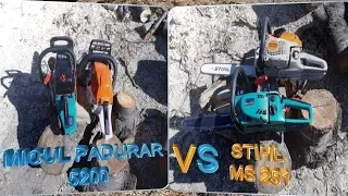 MICUL PĂDURAR 5200 vs STIHL MS251