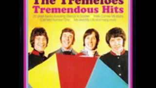 The Tremeloes - Here Comes My Baby - HD