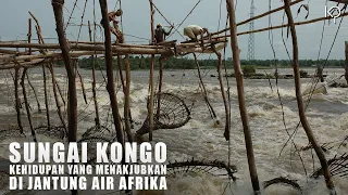 Sungai Kongo: Sumber Kehidupan dan Tulang Punggung Ekonomi Afrika