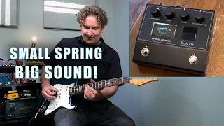 Echo Fix EF-P2 Spring Reverb in a Pedal