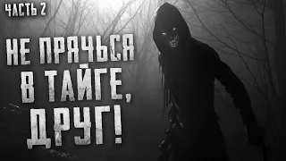 НЕ ПРЯЧЬСЯ В ТАЙГЕ, ДРУГ! Часть 2. Страшные истории на ночь. Страшилки. Страшные рассказы