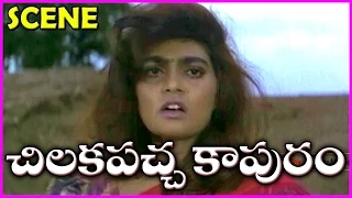 Chilakapacha Kapuram - Telugu Movie Scene - Jagapathi Babu,Soundarya,meena