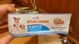 Royal Canin Starter Mousse - мусс для щенков до 2-х месяцев