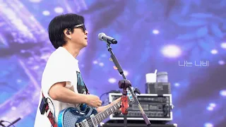 240501 YB- 나는 나비 (윤도현 FOCUS) | 함평 나비 대축제