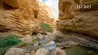 Judean Desert in Winter. Exploring the Mountainous Bokek River