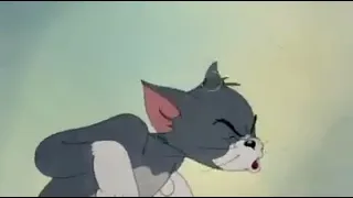 Tom & Jerry