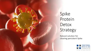Spike Protein Detox Strategy