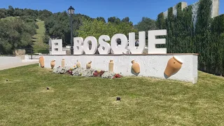 El bosque (Cádiz)