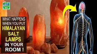 Put HIMALAYAN SALT LAMPS In Your Room And See What Happens To Your Body !