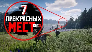 7 САМЫХ КРАСИВЫХ МЕСТ В RED DEAD REDEMPTION 2 🤠