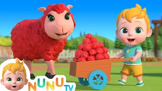 Baa Baa Black Sheep | Colors Song For Kids | Nursery Rhymes & Kids Songs | NuNu Tv