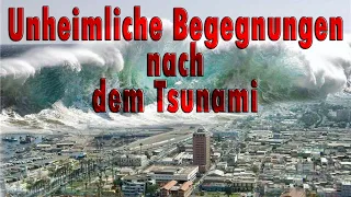 Unheimliche Begegnungen nach dem Tsunami