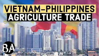 Why The Philippines Buys Rice From Vietnam