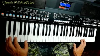 Modern Talking  "You Can Win If You Want" cover Yamaha PSR SX-600