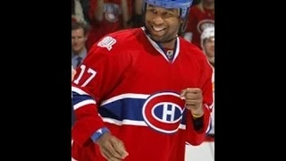 Georges Laraque NHL Fights