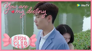 【You Are My Destiny】EP26 Clip | Does Xiyi agree with Anna's reunion? | 你是我的命中注定 | ENG SUB