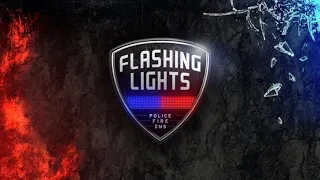 Беспредел в игре Flashing Lights