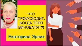 ЧТО ПРОИСХОДИТ КОГДА ВАС ВИНОВАТЯТ?! Психолог Екатерина Эрлих