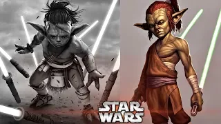 The Rare and Dangerous Lightsaber Form Yoda's Species Used - Star Wars Explained