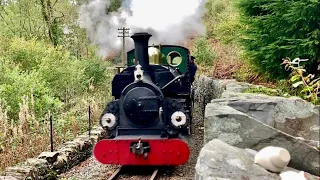 Ffestiniog in the Forrest. Timeless sights and sounds of this amazing railway with true atmosphere.