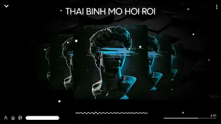 Thái Bình Mồ Hôi Rơi - Vinz Remix - Exclusive | Sơn Tùng M-TP | - Hot Trend Tik Tok 2022