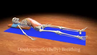 Diaphragmatic (Belly) Breathing