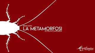 La Metamorfosi, F. Kafka - Audiolibro Integrale