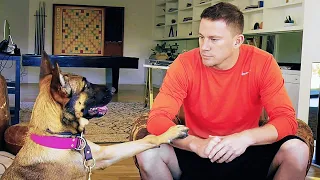 DOG Featurette - "Inside Look" (2022) Channing Tatum